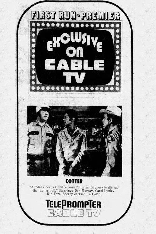 Cotter 1973 official movie poster