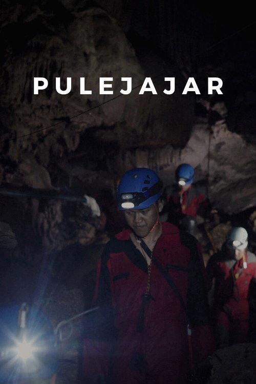 Pulejajar 2020 official movie poster