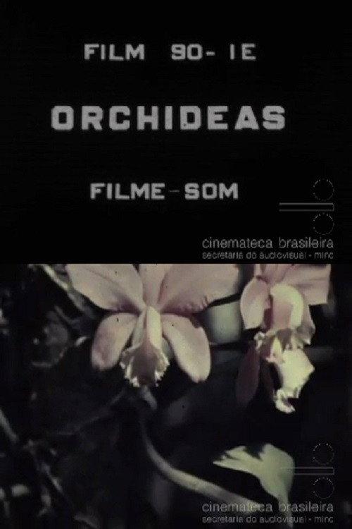 Orchids 1937 official movie poster
