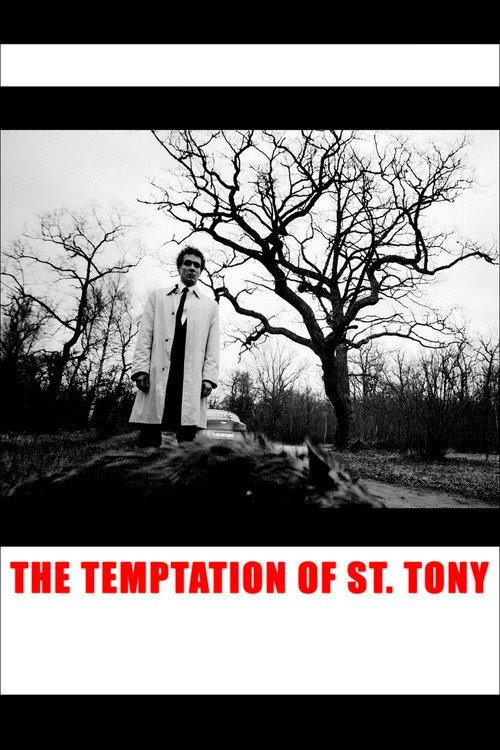 The Temptation of St. Tony 2009 official movie poster