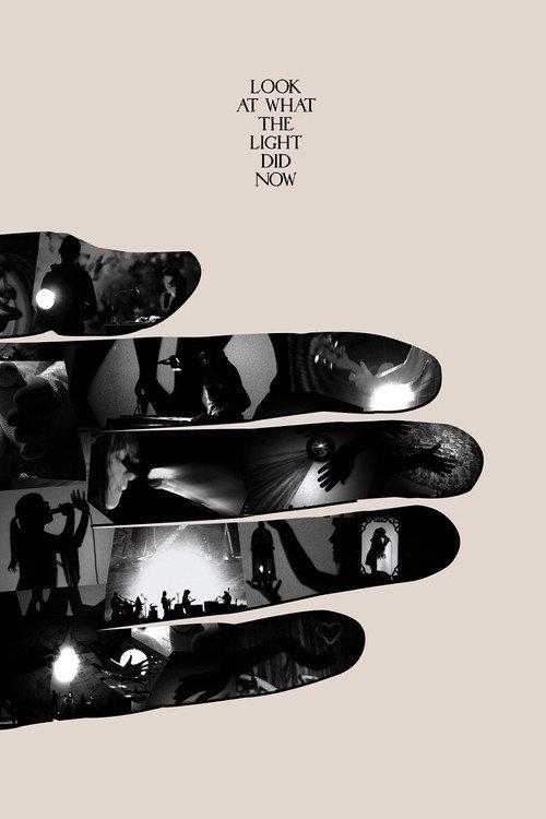 Look at What the Light Did Now 2010 official movie poster
