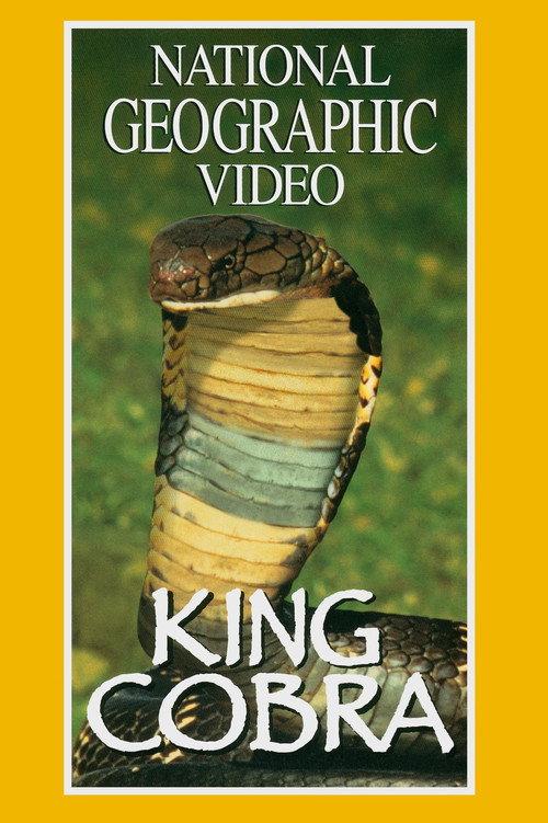 King Cobra 1997 official movie poster