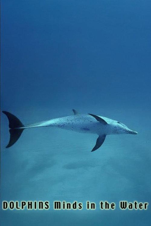 Dolphins: Minds in the Water 1991 official movie poster
