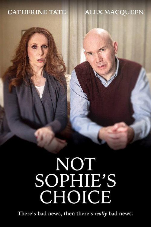 Not Sophie's Choice 2015 official movie poster
