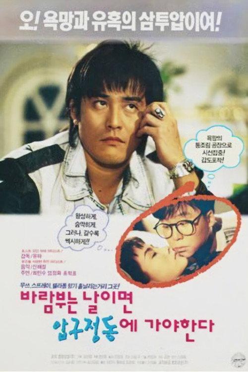 On a Windy Day We Must Go to Apgujeong 1993 official movie poster
