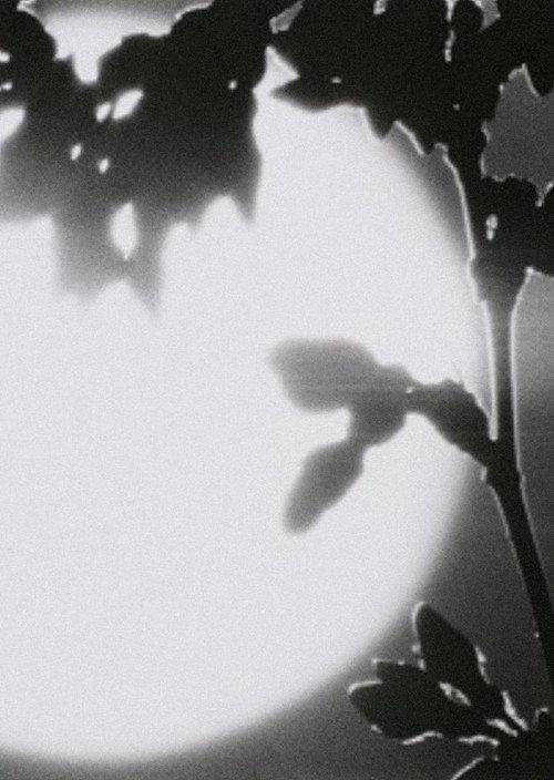 Flower in the Space 1989 official movie poster