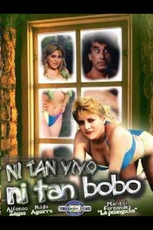 Ni tan bobo, ni tan vivo 1991 official movie poster