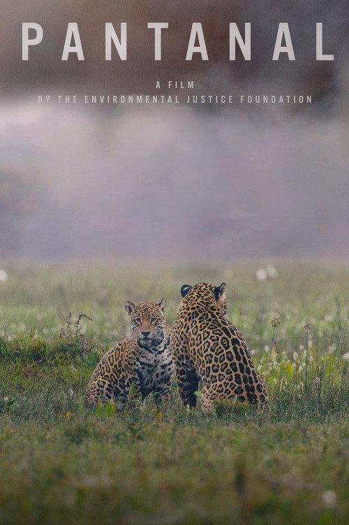 Pantanal 2024 official movie poster