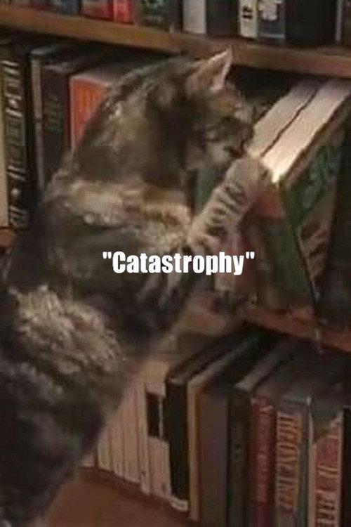 Catastrophy 2000 official movie poster