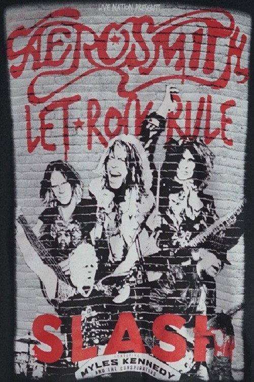 Aerosmith Let Rock Rule Tour 2014 official movie poster