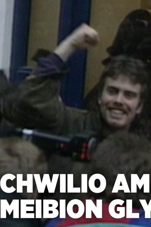 Bryn Fon: Search for the Sons of Glyndwr 2021 official movie poster