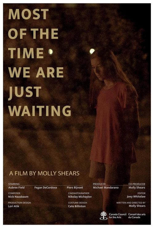 Most of the Time We Are Just Waiting  official movie poster
