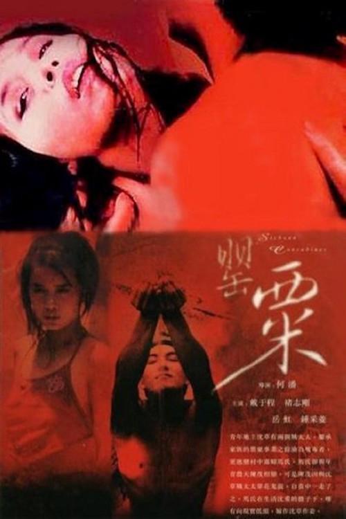 The Sichuan Concubines 1994 official movie poster