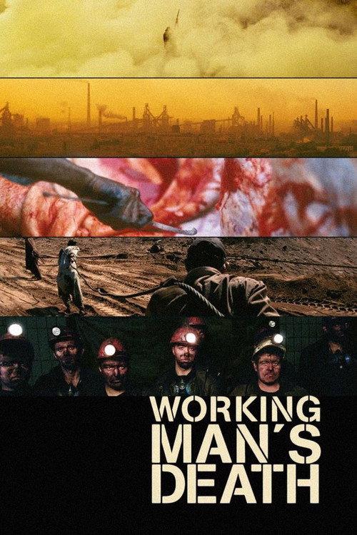 Workingman's Death 2005 official movie poster