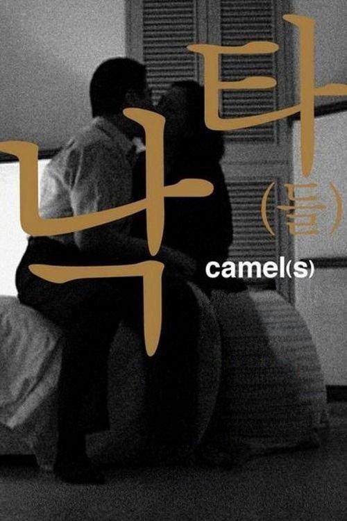 Camel(s) 2002 official movie poster