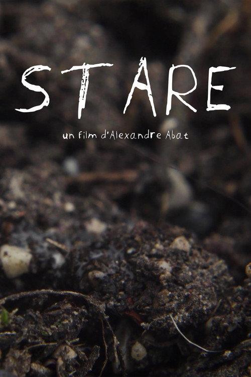 Stare 2026 official movie poster
