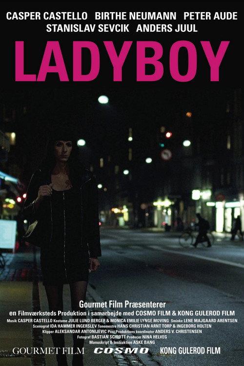 Ladyboy 2011 official movie poster