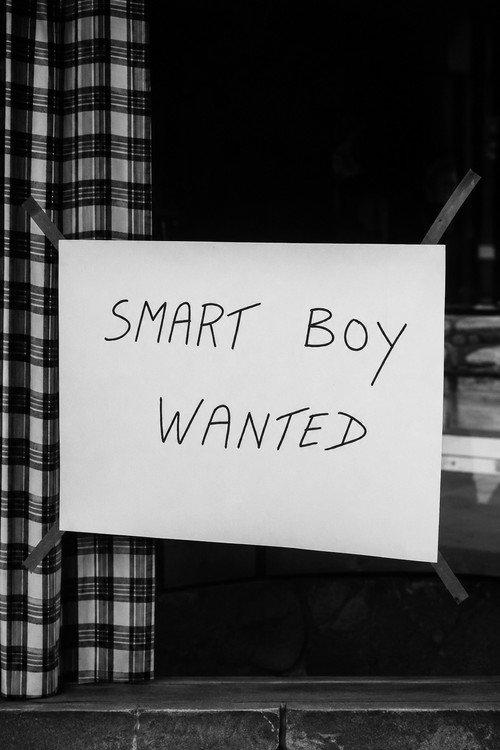 Smart Boy Wanted  official movie poster