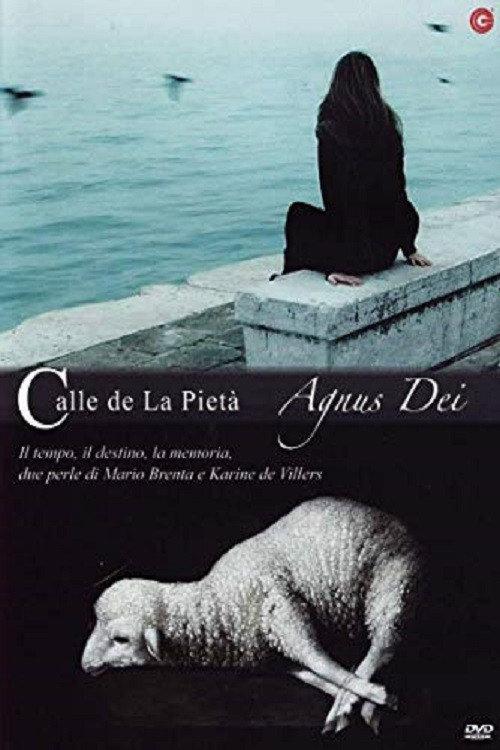 Calle de la pietà 2010 official movie poster