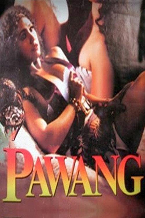 Animal Tamer 1995 official movie poster