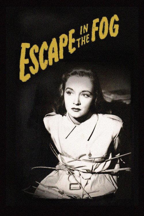 Escape in the Fog 1945 official movie poster