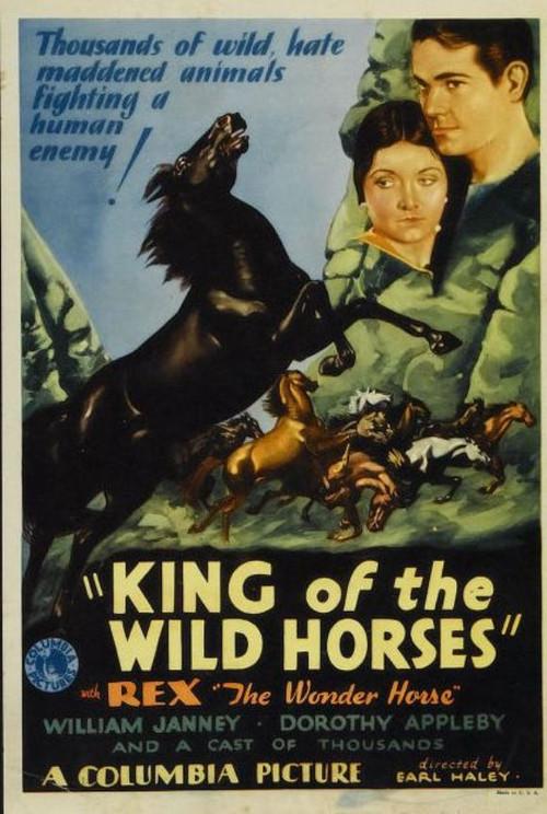 King of the Wild Horses 1933 official movie poster