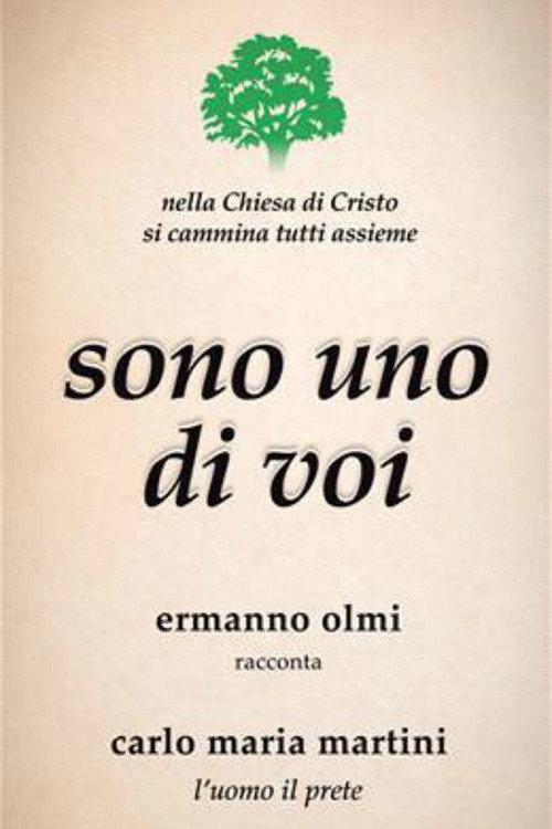 Vedete, sono uno di voi 2017 official movie poster