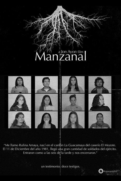 Manzanal 2020 official movie poster