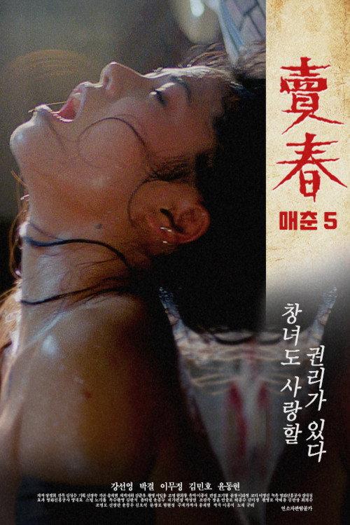 Prostitution 5 1995 official movie poster