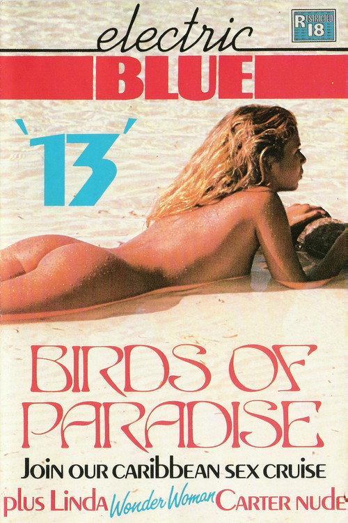 Electric Blue 13 1984 official movie poster