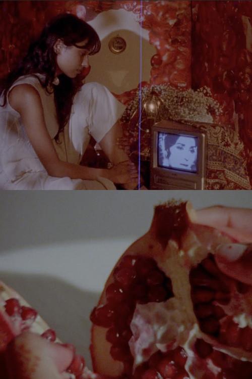 what does it feel like to live inside a pomegranate? 2026 official movie poster