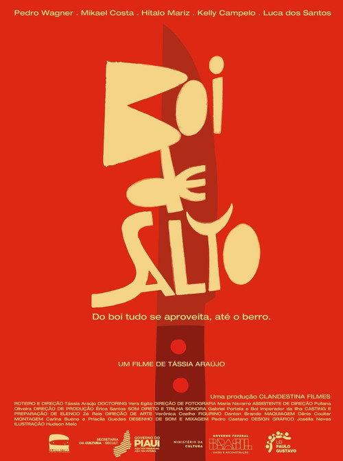 Boi de Salto 2025 official movie poster