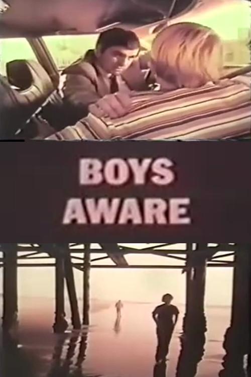 Boys Aware 1973 official movie poster