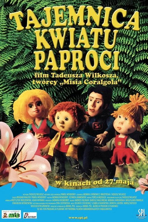 The Secret of Fern Flowers 2004 official movie poster