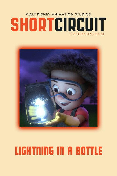 Lightning in a Bottle 2019 official movie poster