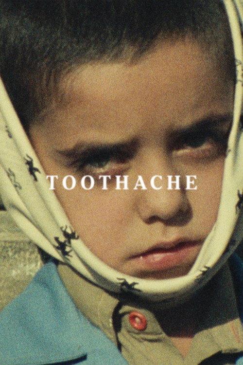 Toothache 1980 official movie poster