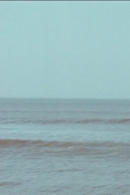 Vibrating Horizon 1971 official movie poster