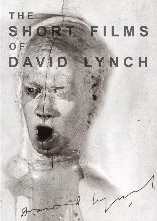 The Short Films of David Lynch 2002 official movie poster