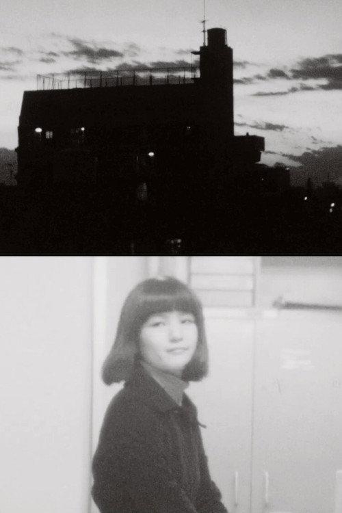 Impressions of a Sunset 1975 official movie poster