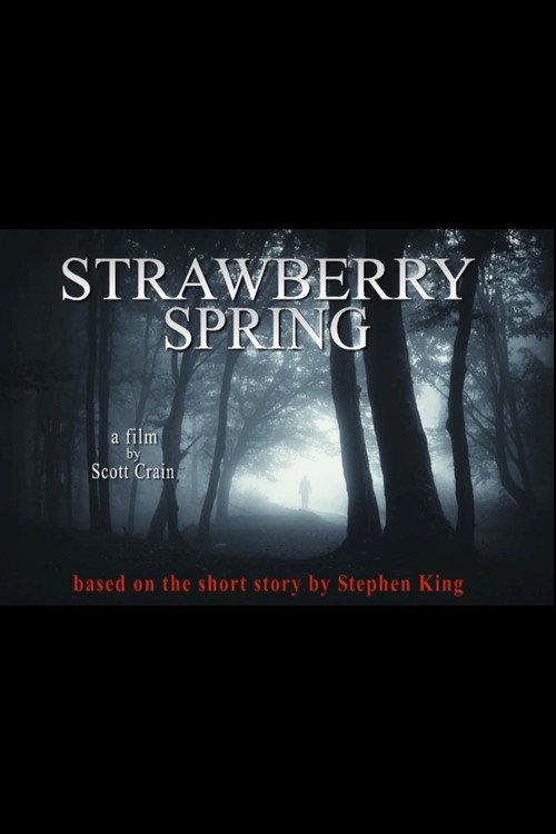 Strawberry Spring 2013 official movie poster