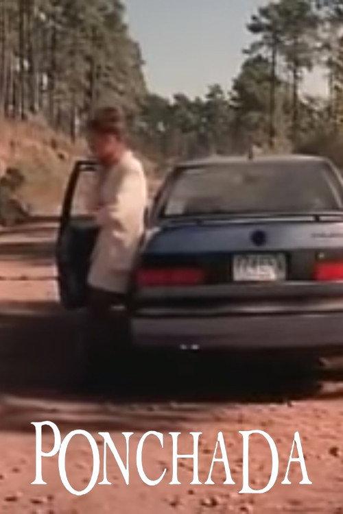 Flattened 1994 official movie poster