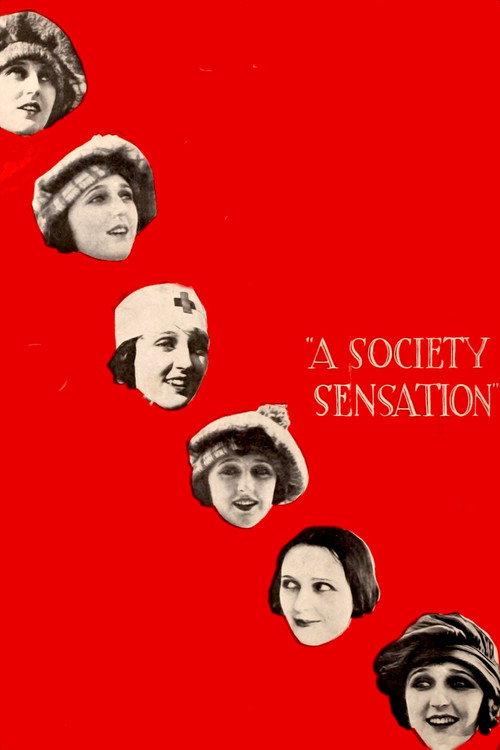 A Society Sensation 1918 official movie poster