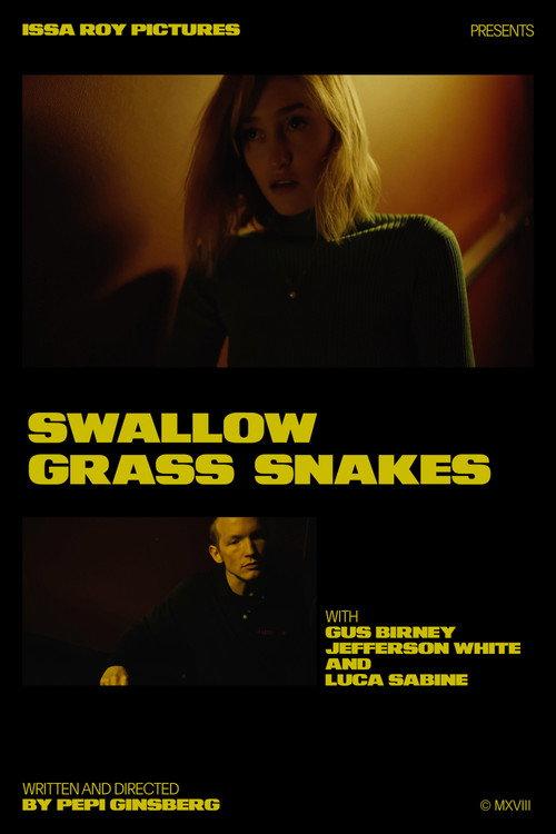 Swallow Grass Snakes 2019 official movie poster