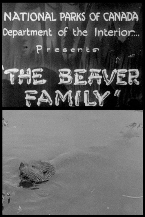 Beaver Family 1929 official movie poster