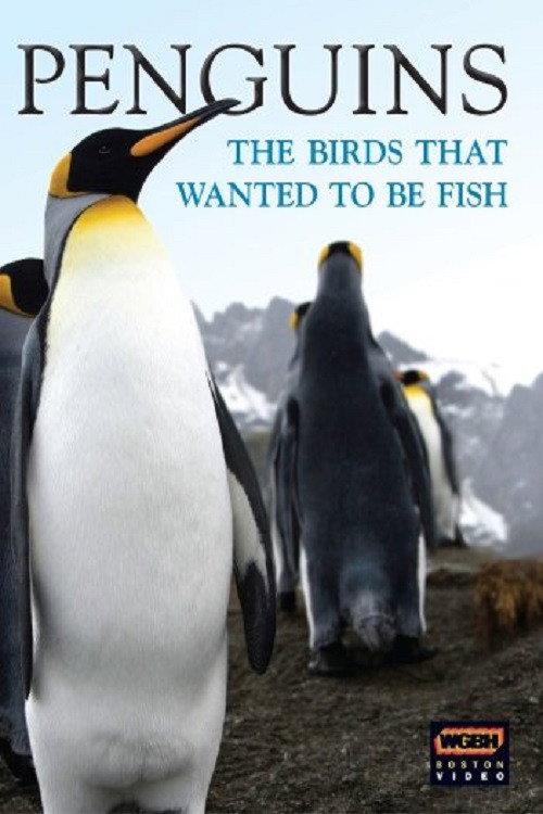 Penguins: The Story of the Bird that wanted to be Fish 2008 official movie poster