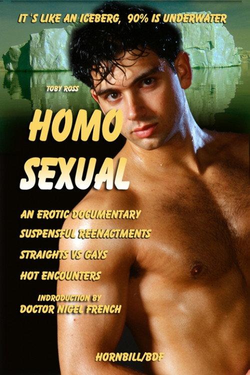 Homosexual 2013 official movie poster