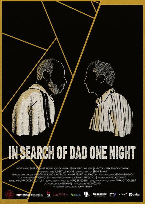 In Search of Dad One Night 2022 official movie poster