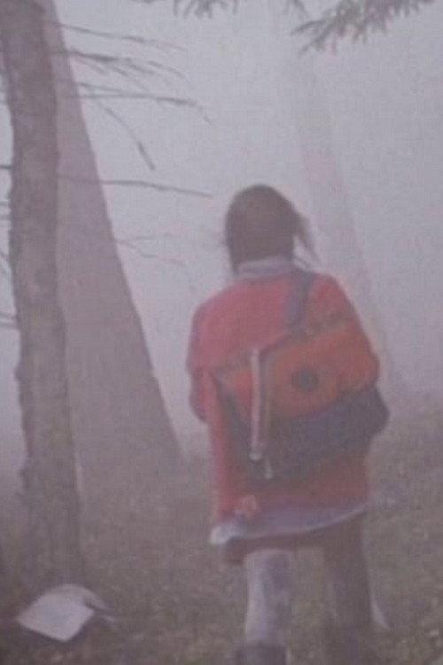 The Girl in the Mist 1997 official movie poster
