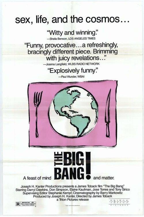 The Big Bang 1990 official movie poster