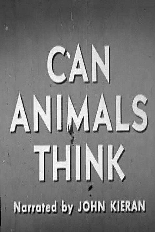 Can Animals Think 1950 official movie poster